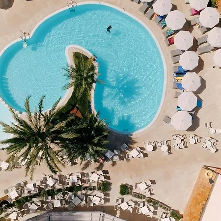 Girasol Cala Millor (Mallorca)