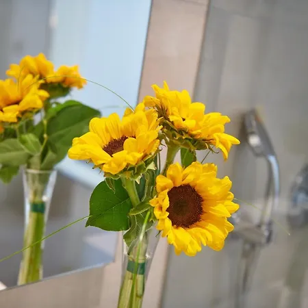 Girasol 4* Cala Millor (Mallorca)